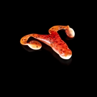 TURBO FROG 1 LAMINATED