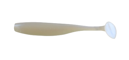 BASS 2,5 STANDARD