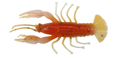 CRAWFISH 2 LAMINATED