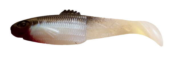 DIAMOND SHAD 2,5 STANDARD