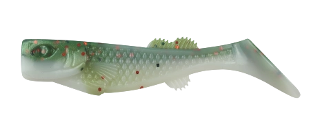 KALIFORNIA 3 LAMINATED