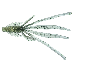 NYMPH 5 LAMINATED