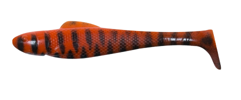 OHIO 4 TIGER STRIPES