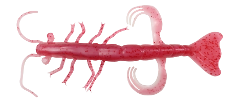 SHRIMP 3 LAMINATED