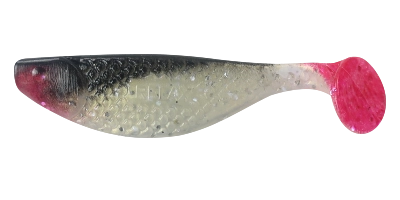 AQUA 3 RED TAIL