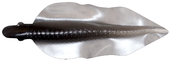 WINGSHAD 3 LAMINATED