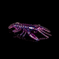 CRAWFISH 1 LAMINATED