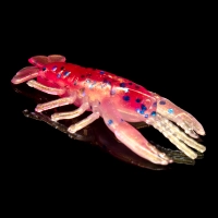 CRAWFISH 1 LAMINATED
