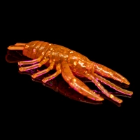 CRAWFISH 1 STANDARD