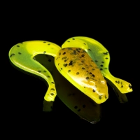 BANJO FROG 1 LAMINATED