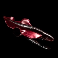 WINGSHAD 3 LAMINATED