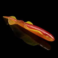 WINGSHAD 3 LAMINATED