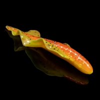 WINGSHAD 3 LAMINATED