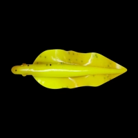 WINGSHAD 3 LAMINATED