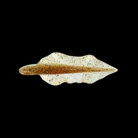 WINGSHAD 3 LAMINATED