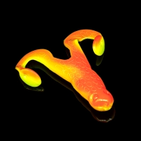 TURBO FROG 1 LAMINATED