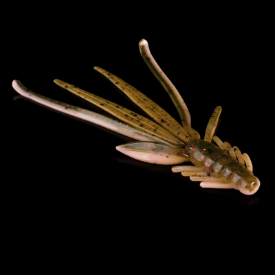 NYMPH 5 LAMINATED