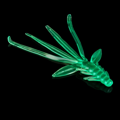 NYMPH 5 STANDARD