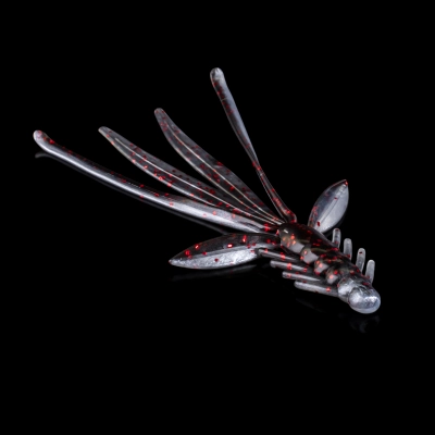 NYMPH 5 LAMINATED