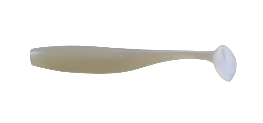 BASS 2,5 STANDARD