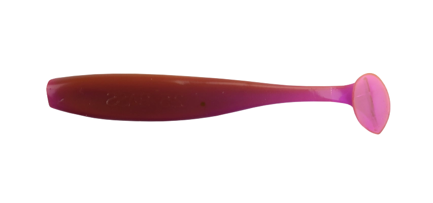 BASS 2,5 STANDARD