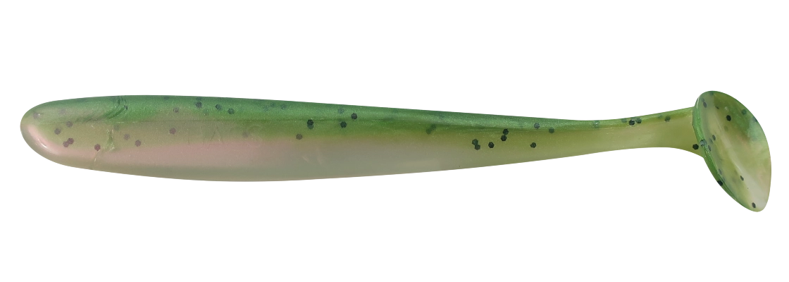 BASS 5 LAMINATED