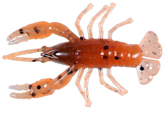 CRAWFISH 1 LAMINATED