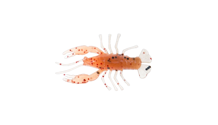 CRAWFISH 1 LAMINATED