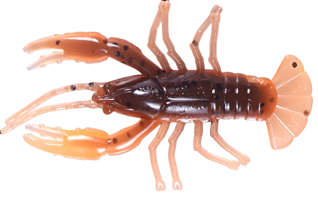 CRAWFISH 2 LAMINATED