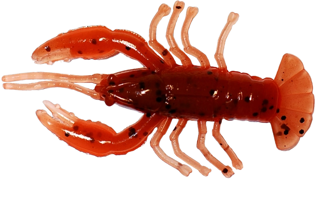 CRAWFISH 2 LAMINATED