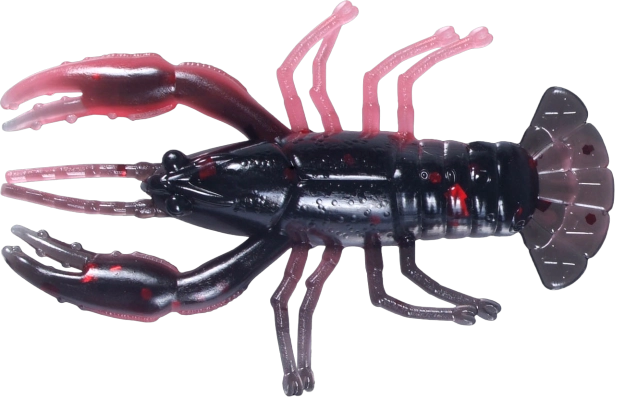 CRAWFISH 2 LAMINATED
