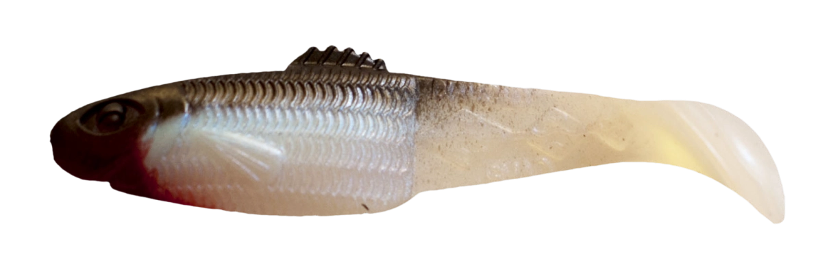DIAMOND SHAD 2,5 STANDARD
