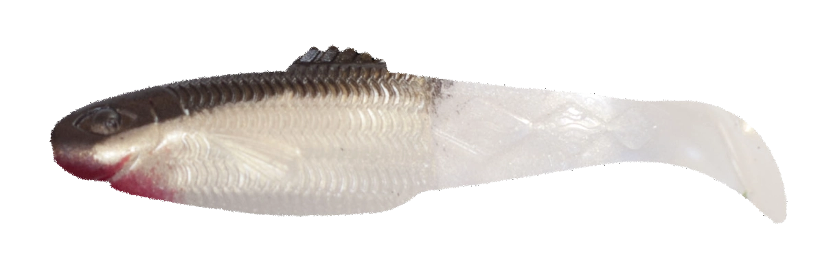 DIAMOND SHAD 2,5 STANDARD