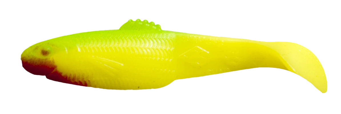 DIAMOND SHAD 2,5 STANDARD