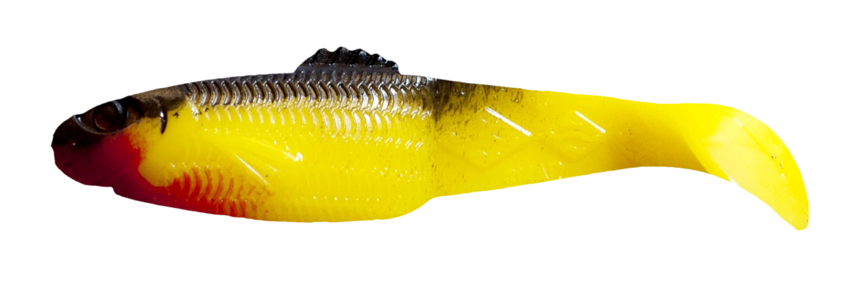 DIAMOND SHAD 2,5 STANDARD