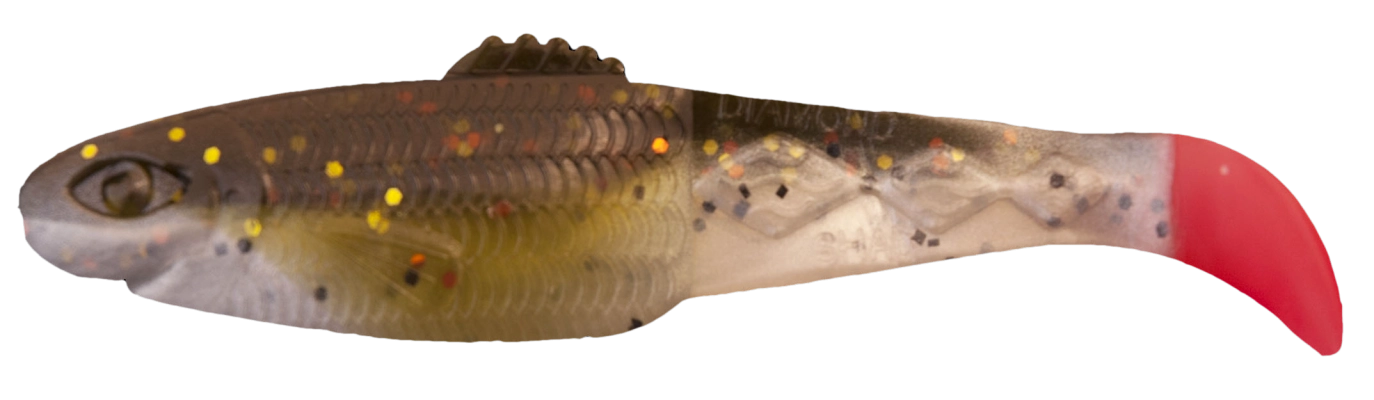 DIAMOND SHAD 3 TRICOLOR
