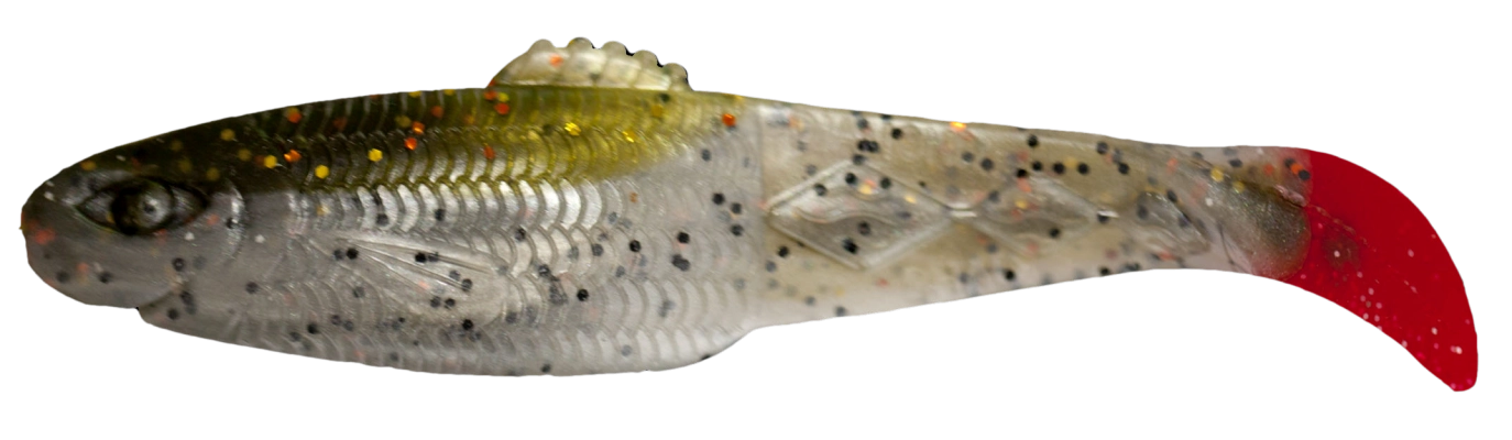 DIAMOND SHAD 3 TRICOLOR