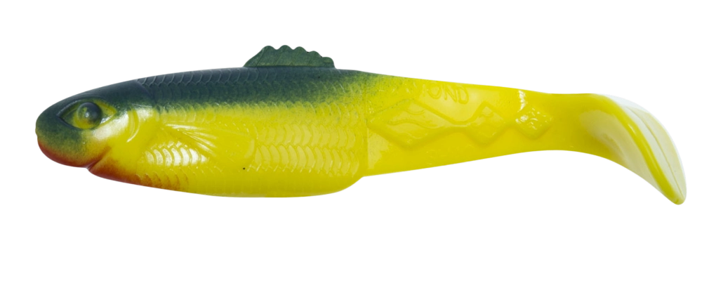 DIAMOND SHAD 5 STANDARD