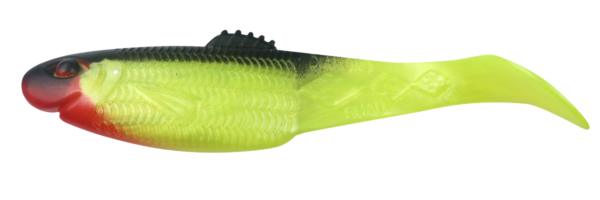 DIAMOND SHAD 5 STANDARD