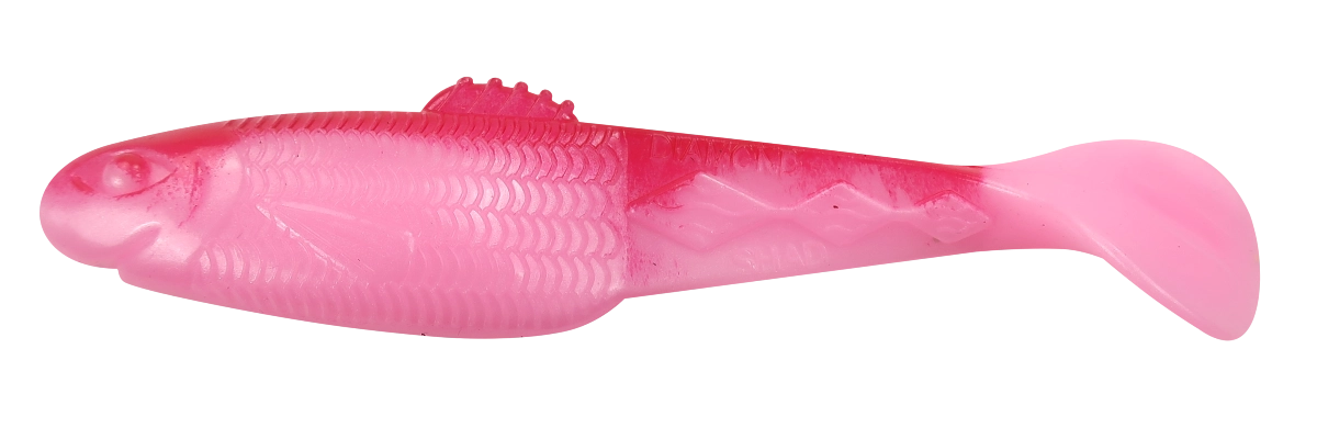 DIAMOND SHAD 5 STANDARD