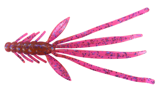 NYMPH 5 STANDARD