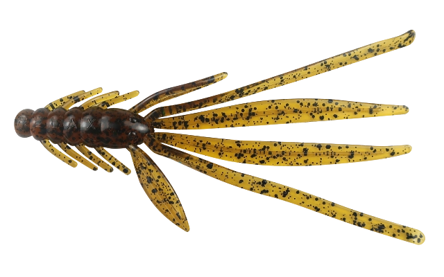 NYMPH 5 STANDARD