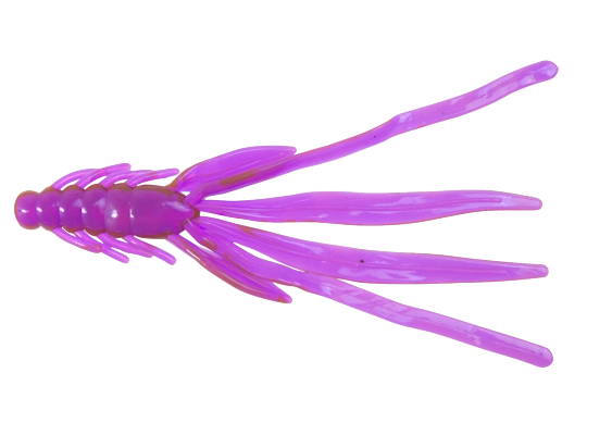 NYMPH 5 STANDARD
