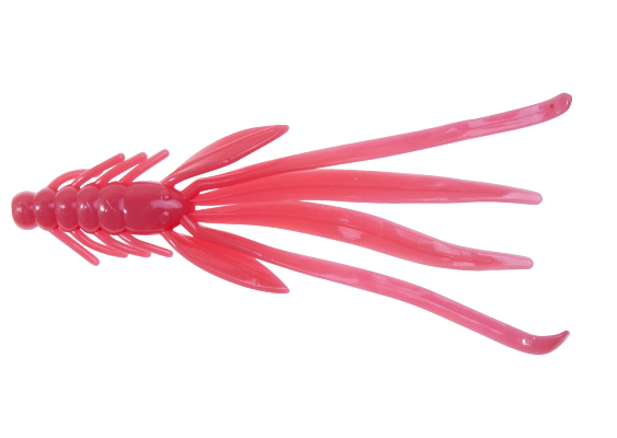 NYMPH 5 STANDARD