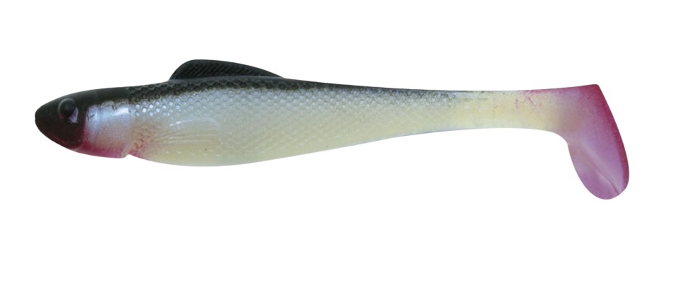 OHIO 2,5 RED TAIL