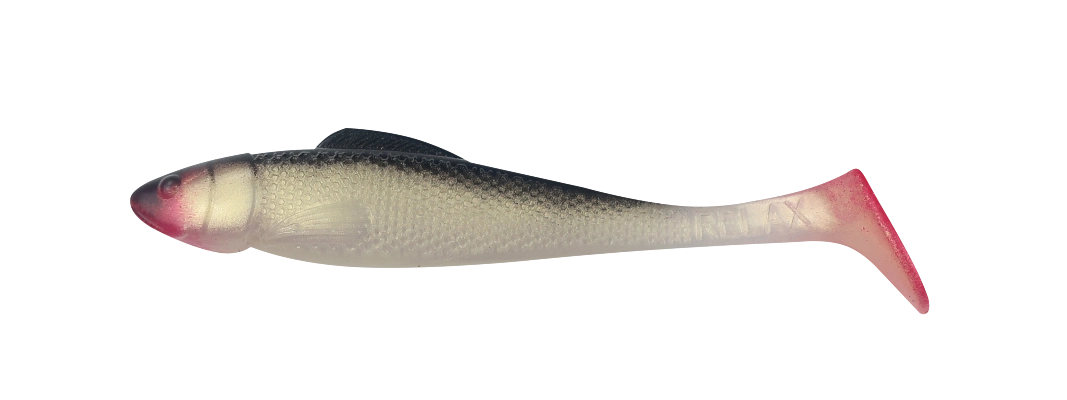 OHIO 2,5 RED TAIL