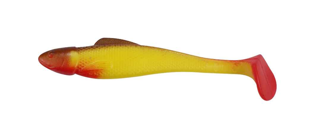 OHIO 2,5 RED TAIL