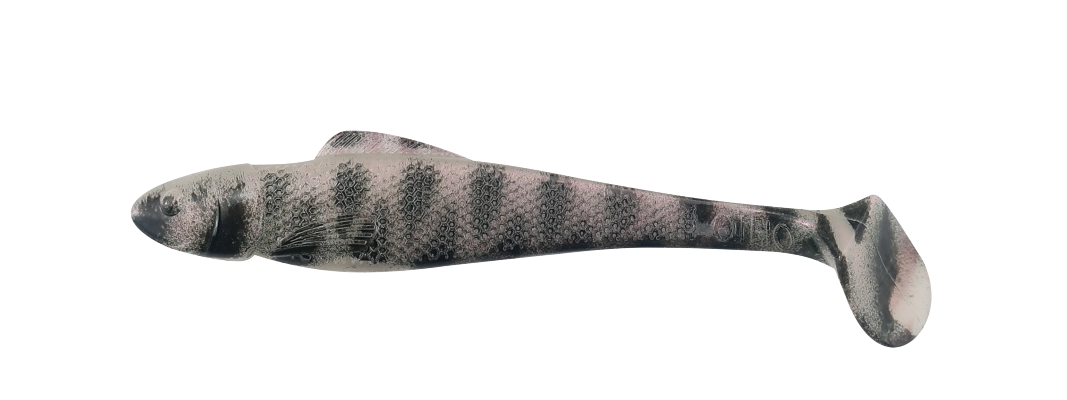 OHIO 2,5 TIGER STRIPES