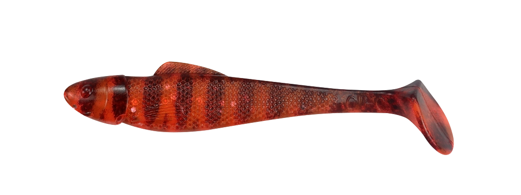 OHIO 2,5 TIGER STRIPES