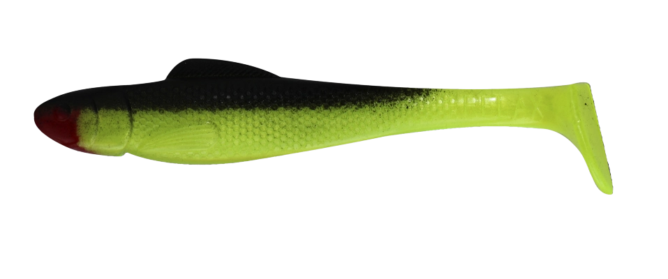 OHIO 4 STANDARD